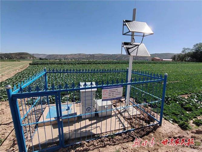 先尝后种 安定区蔬菜量价齐升&mdash;&mdash;定西市安定区园艺工作站重实践解难